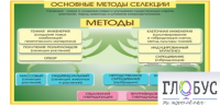 Стенд "Методы селекции и биотехнологии" - «globural.ru» - Сыктывкар