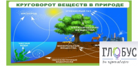 Стенд "Круговорот веществ" - «globural.ru» - Сыктывкар