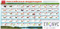 Стенд "Красная книга РФ" - «globural.ru» - Сыктывкар