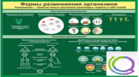 Стенд "Формы размножения организмов" - «globural.ru» - Сыктывкар