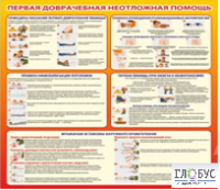 Стенд "Первая доврачебная неотложная помощь" - «globural.ru» - Сыктывкар