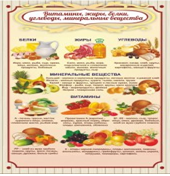 Стенд "Витамины, жиры, белки" - «globural.ru» - Сыктывкар