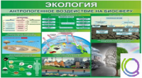 Стенд "Экология. Антропогенное воздействие на биосферу" - «globural.ru» - Сыктывкар