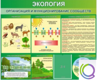 Стенд "Экология. Организация и функционирование сообществ" - «globural.ru» - Сыктывкар