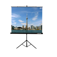 Проекционный экран на штативе Lumien Eco View (LEV-100105) 160x160 см - «globural.ru» - Сыктывкар