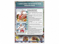 Стенд "Санитарно-гигиенические требования" - «globural.ru» - Сыктывкар