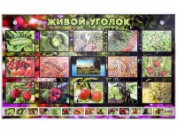 Комплект оборудования "Живой уголок" (растения) с тифлопереводом и сурдокомментариями - «globural.ru» - Сыктывкар