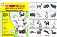Демонстрационные карточки "Животные холодных широт" - «globural.ru» - Сыктывкар