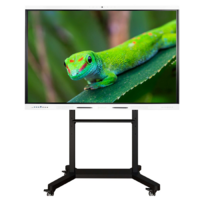 Интерактивный комплекс Geckotouch ​​​​​​​86RK - «globural.ru» - Сыктывкар