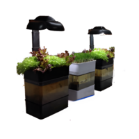 Учебная установка "Аквапоника"  - «globural.ru» - Сыктывкар