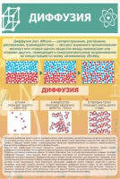 Стенд "Диффузия" - «globural.ru» - Сыктывкар