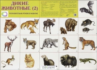 Раздаточные карточки "Дикие животные" часть 2 - «globural.ru» - Сыктывкар