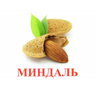 Карточки Домана Полный набор на русском языке (67 комплектов). - «globural.ru» - Сыктывкар