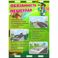 Стенд "Обязанности пешехода" - «globural.ru» - Сыктывкар