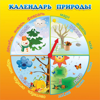 Стенд "Календарь природы" 0.5x0.5 - «globural.ru» - Сыктывкар