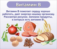 Стенд "Витамин В" - «globural.ru» - Сыктывкар