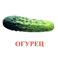 Карточки Домана "Овощи-Зелень-1" - «globural.ru» - Сыктывкар