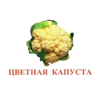 Карточки Домана "Овощи-Зелень-2" - «globural.ru» - Сыктывкар