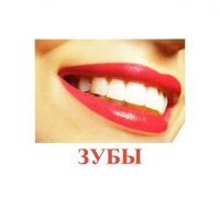 Карточки Домана "Части тела" - «globural.ru» - Сыктывкар