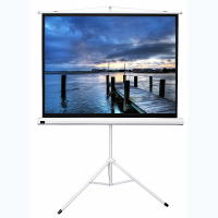 Экран на штативе DSKD-4302 - «globural.ru» - Сыктывкар