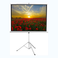 Экран на штативе DSKD-4303 - «globural.ru» - Сыктывкар