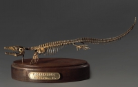 Модель скелета мозазавра Mosasaurus - «globural.ru» - Сыктывкар