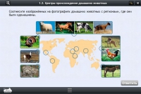 Интерактивные курсы. Биология 7 класс. Расширенный - «globural.ru» - Сыктывкар