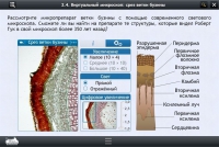 Интерактивные курсы. Биология 5 класс. Расширенный - «globural.ru» - Сыктывкар