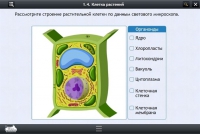 Интерактивные курсы. Биология 9 класс. Расширенный - «globural.ru» - Сыктывкар