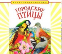 CD "Аудиоэнциклопедия. Городские птицы" - «globural.ru» - Сыктывкар