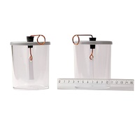 Электроскопы (2 штуки) - «globural.ru» - Сыктывкар