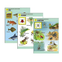 Комплект таблиц для начальной школы "Окружающий мир. Животный мир" - «globural.ru» - Сыктывкар