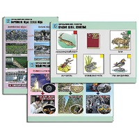 Комплект таблиц для  начальной школы "Окружающий мир. Экология" - «globural.ru» - Сыктывкар