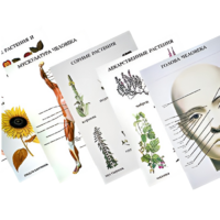 Таблицы по природоведению 1-3 класс - «globural.ru» - Сыктывкар