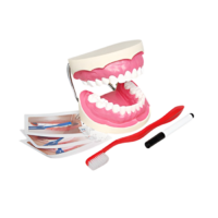 Игровой комплект "Чистим зубы" - «globural.ru» - Сыктывкар