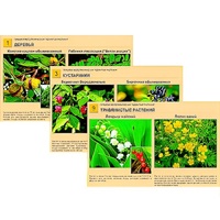 Гербарий фотографический "Ядовитые растения" - «globural.ru» - Сыктывкар