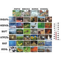 Фенологические наблюдения - «globural.ru» - Сыктывкар