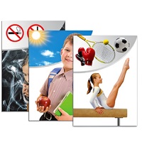 Модель-аппликация "Здоровье человека" - «globural.ru» - Сыктывкар