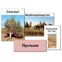 Модель-аппликация "Природные зоны России" - «globural.ru» - Сыктывкар