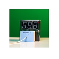 Датчик температуры с независимой индикацией (термометр демонстрационный) - «globural.ru» - Сыктывкар