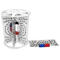 Модель для демонстрации в объеме линий магнитного поля  (вариант 1) - «globural.ru» - Сыктывкар