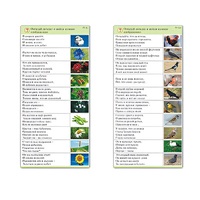 Комплект карточек (10) "Обучающий калейдоскоп. Природа" - «globural.ru» - Сыктывкар