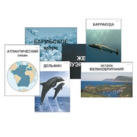 Модель-аппликация "Океаны. Знакомство" (ламинированная) - «globural.ru» - Сыктывкар