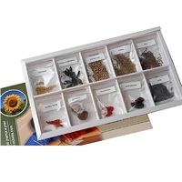 Коллекция "Плоды сельскохозяйственных растений" (вариант 2) - «globural.ru» - Сыктывкар