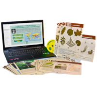 Гербарий натурально-интерактивный к курсу основ общей биологии - «globural.ru» - Сыктывкар