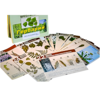 Гербарий к курсу основ общей биологии - «globural.ru» - Сыктывкар