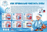 Стенд "Как правильно чистить зубы" - «globural.ru» - Сыктывкар