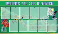 Стенд "Подготовка к ЕГЭ и ОГЭ по биологии" (вариант 2) - «globural.ru» - Сыктывкар