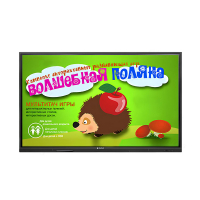 Интерактивная сенсорная панель 50" (UHD 4K) - «globural.ru» - Сыктывкар