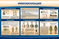 Стенд "Иммобилизация" - «globural.ru» - Сыктывкар